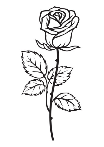 Autoaufkleber sticker rosen - 2x,