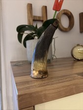 trinkhorn antik Mit Verschluss Deko Alt 