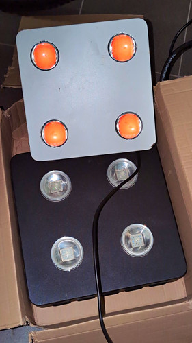 Starke growlampen cfgrow - starke,