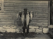 Frankreich Finnland Norwegen