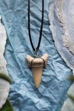 Haifischzahn Kette Echtes