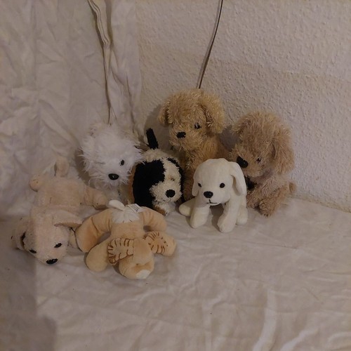 Stofftier hund - ,