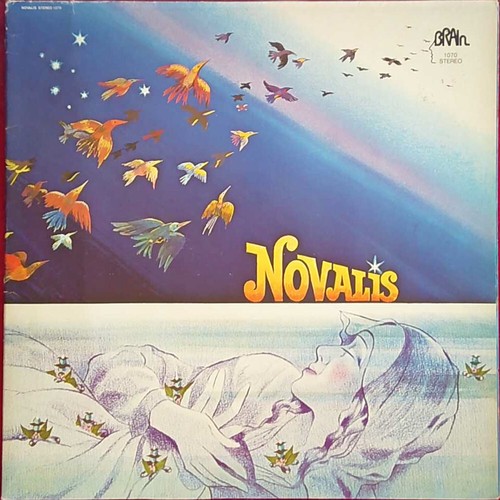Novalis brain - novalis,