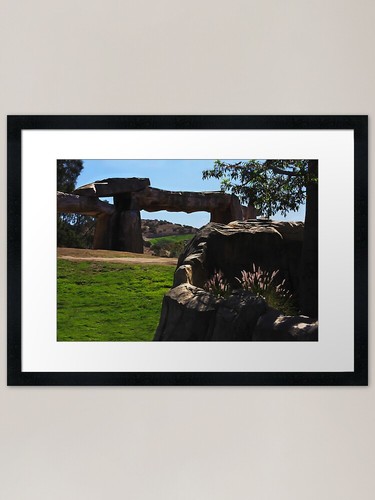 Safari park elefant home - park,