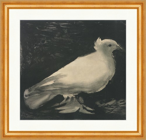 Die taube pablo - pablo, picasso
