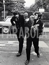 Altes Pressefoto Tiere