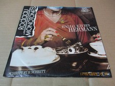 (27) 7" Single Vinyl - Rodgau