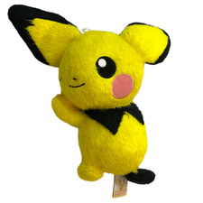 Pichu Entspannungszeit