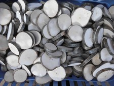 50 x Haselnuss - Holzscheiben