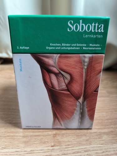 Sobotta lernkarten knochen - sobotta, lernkarten-