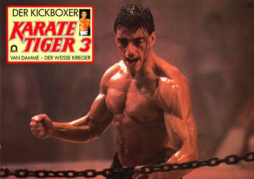 Karate tiger der - karate, kickboxer