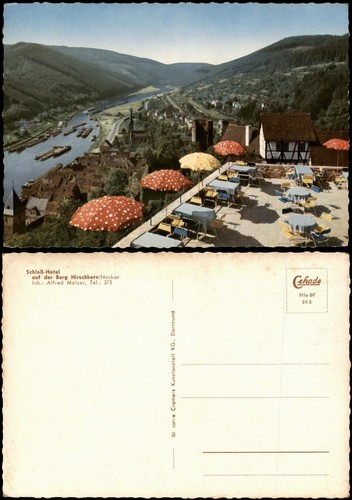 Hirschhorn panorama - (neckar),