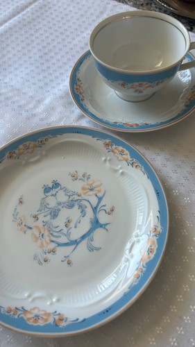 Sammeltasse von lettin - von,