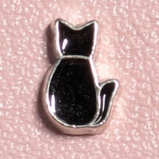 Floating Charms Katze, schwebende Mini Charms - Medaillon Magnet