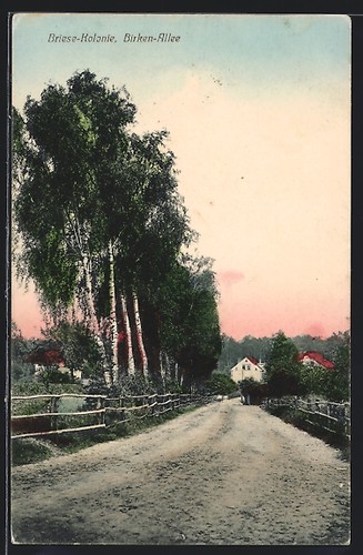 Briese kolonie birken allee - briese-kolonie,, birken-allee
