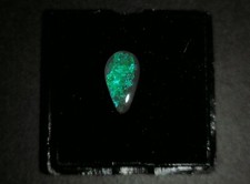 Toller Lightning Ridge Black