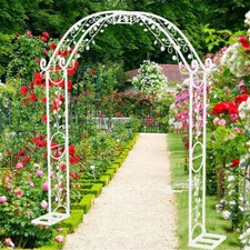 Rosenbogen mit Tor Torbogen