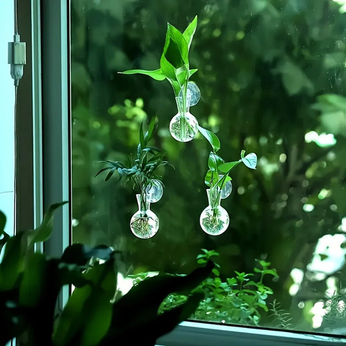 Pflanzen wandglas fenster - pflanzen,