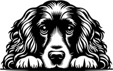 COCKER SPANIEL Aufkleber -