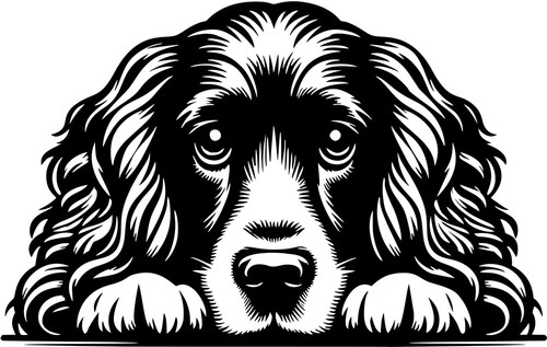 Cocker spaniel aufkleber - spaniel,