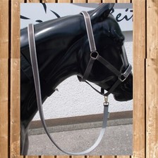 Bucas Halfter Dublin with Lead