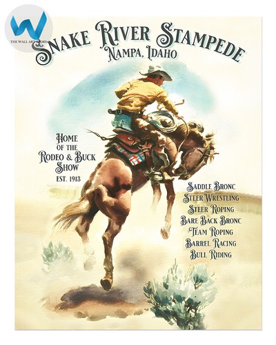 Western cowboy pferd - western,