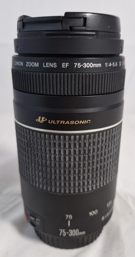 Canon 300mm 5 6 - 75-300mm, iii
