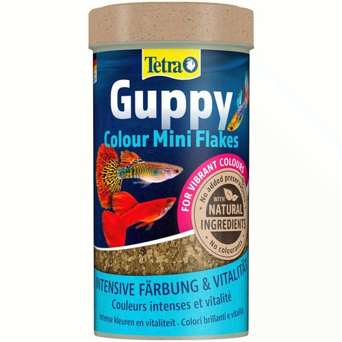 Tetra guppy colour mini - tetra,