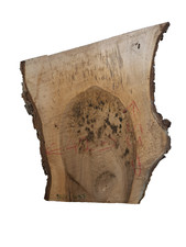 1x Nussbaum Ast Bohle Brett