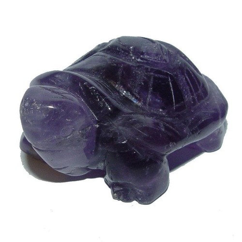 Amethyst schildkröte 50 - amethyst, x
