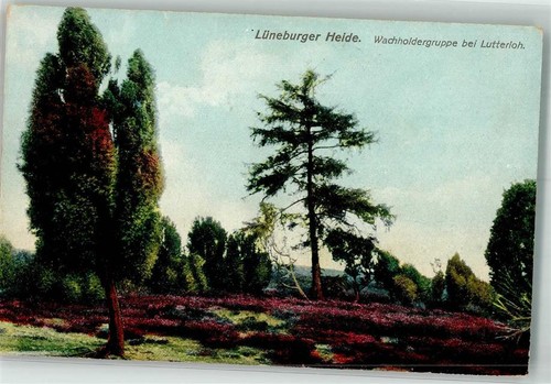 39766310 3104 lutterloh - 39766310,