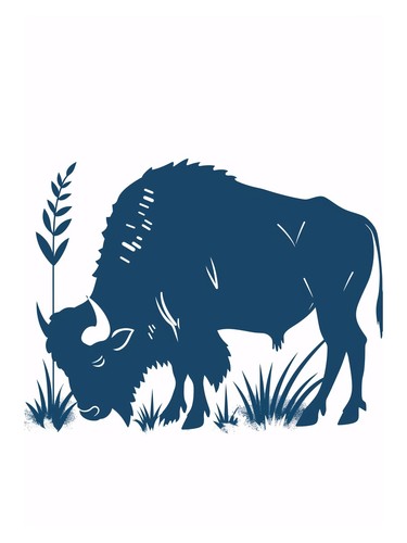 Buffalo silhouette poster - poster, |
