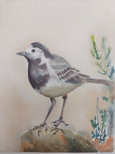 Aquarell Bild. Vogel auf dem