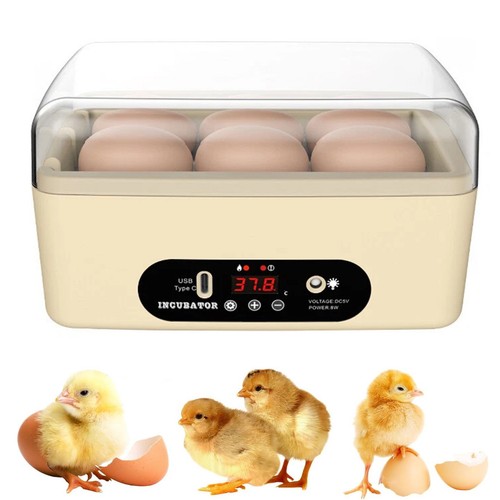 Eier inkubator brutkasten - inkubator,