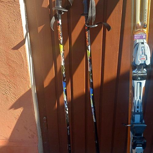 Elan carving ski - elan,