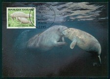 TOGO MK WWF FAUNA MANATI MANTEE SEEKUH MAXIMUMKARTE MAXI CARD MC CM ih08
