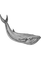 5x car sticker whale sticker