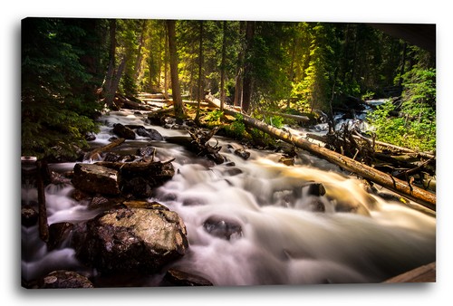 Wandbild fluss river wald - river,