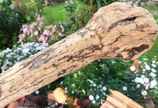 aussergewöhnlich gemasertes