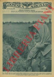 Bartoletti nell agro - bartoletti,