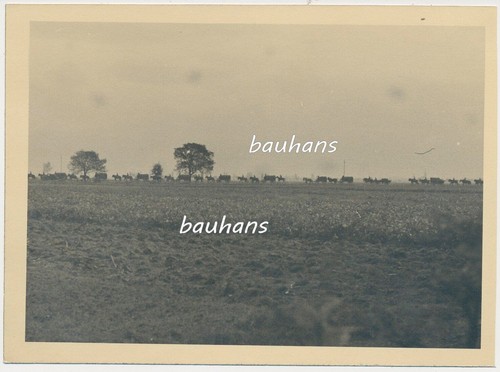 Foto die 169 infanterie - foto,
