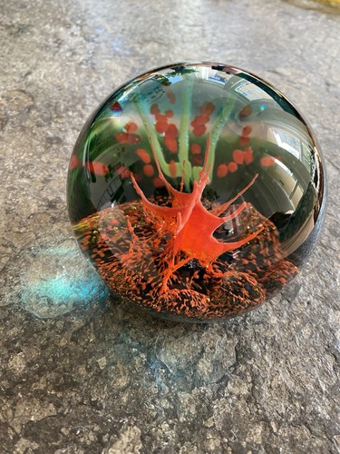 Caithness scotland paperweight - caithness,