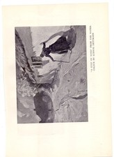 1909 Ludwig Dettmann Albert