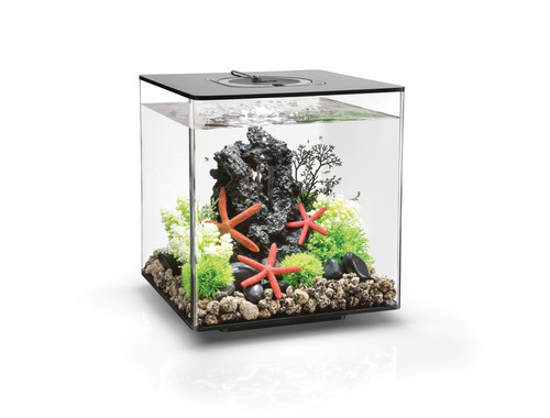 Biorb aquarium cube mcr - biorb,