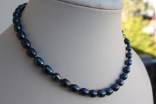 A24s 40 cm Echte Süßwasser