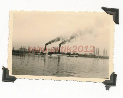Foto rad 342 au rhein - rad, au/rhein