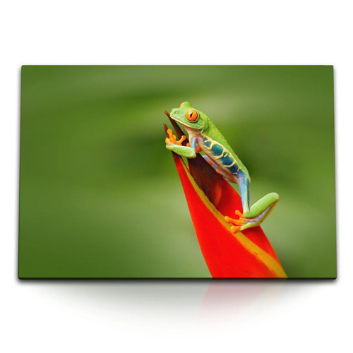 120x80cm wandbild auf leinwand - 120x80cm,