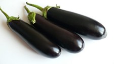 Aubergine samen Mirinda F1