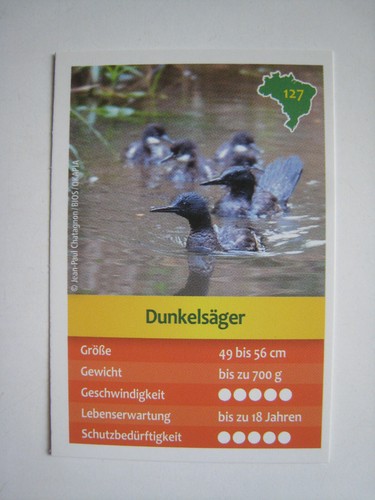 Entdecke brasilien - entdecke,