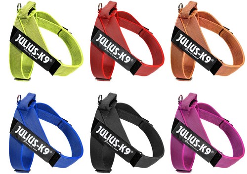 Julius idc gurtbandgeschirr - k9,
